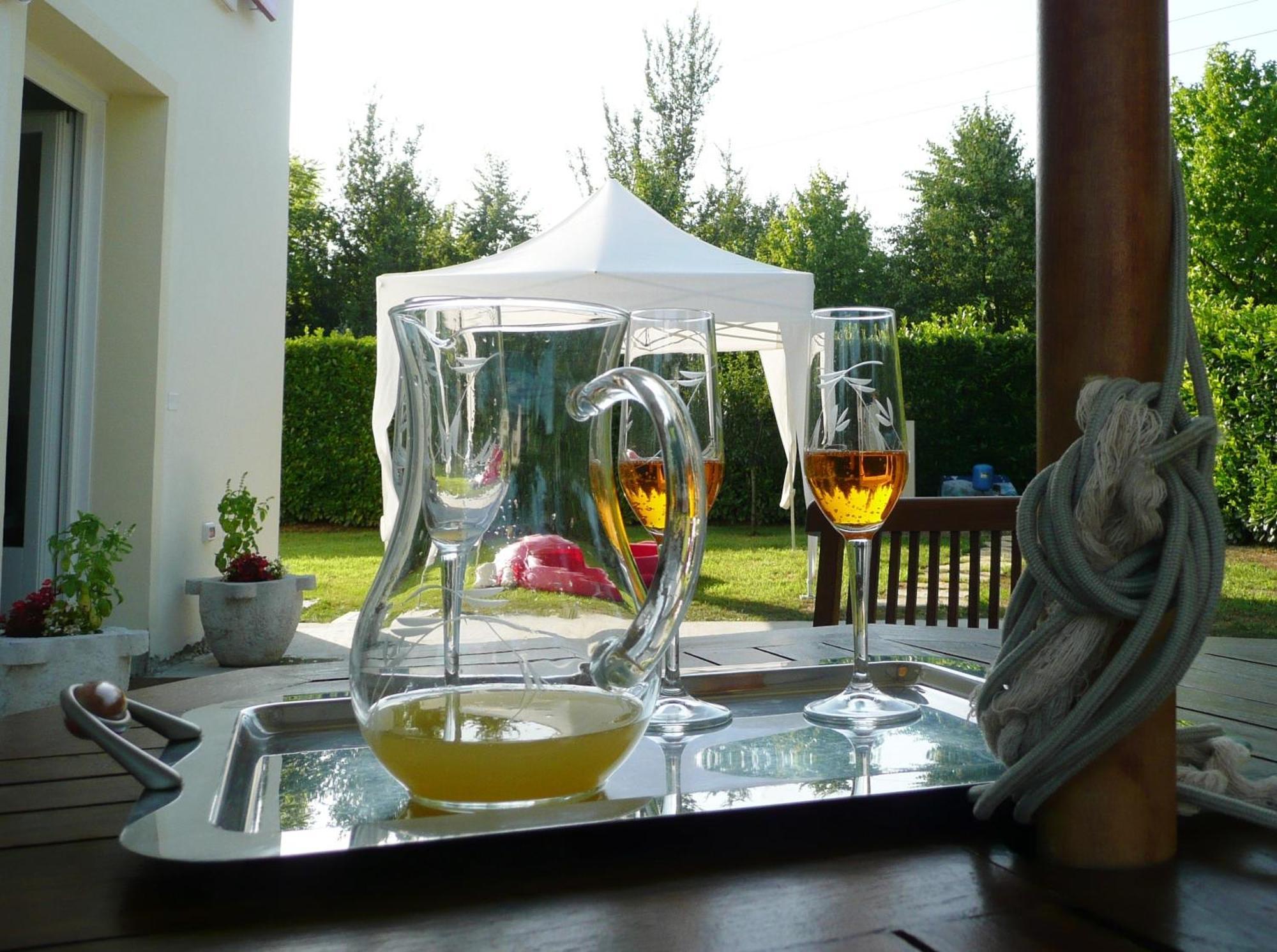 Agriturismo Campoverde Camponogara Экстерьер фото